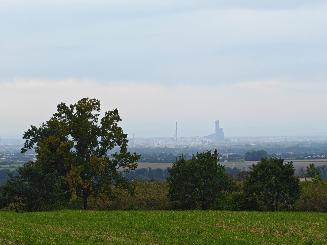 Wiszniak