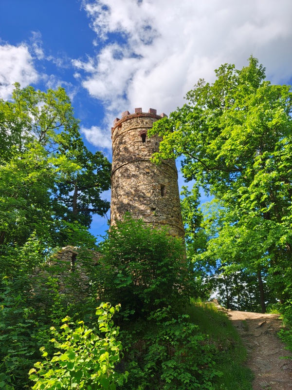 Wieża widokowa w Bukowcu