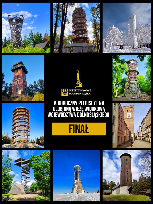 Finał naszego Plebiscytu wystartował!