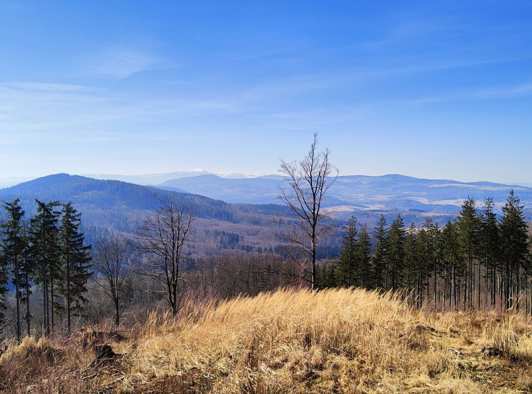 Kokosz – Góry Wałbrzyskie w mniej znanej formie