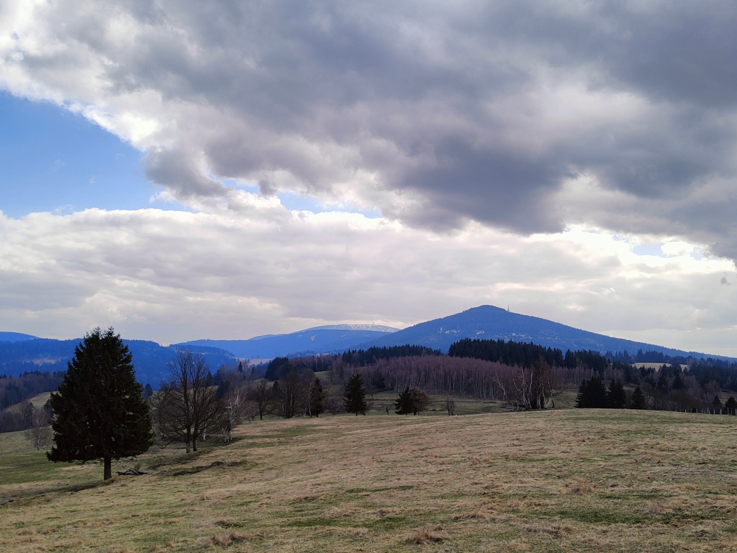 Skowronia Góra – miejsce z rozległymi widokami w Masywie Śnieżnika